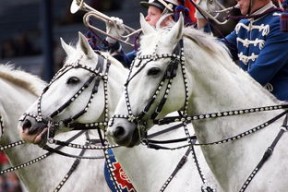 九游娱乐(jiuyou)官网-世界青少年马术表演比赛展现中国风采，中国马术青少年u系列赛